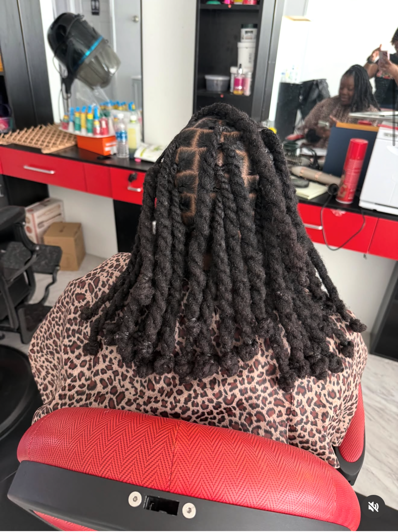 Starter locs and twists styling